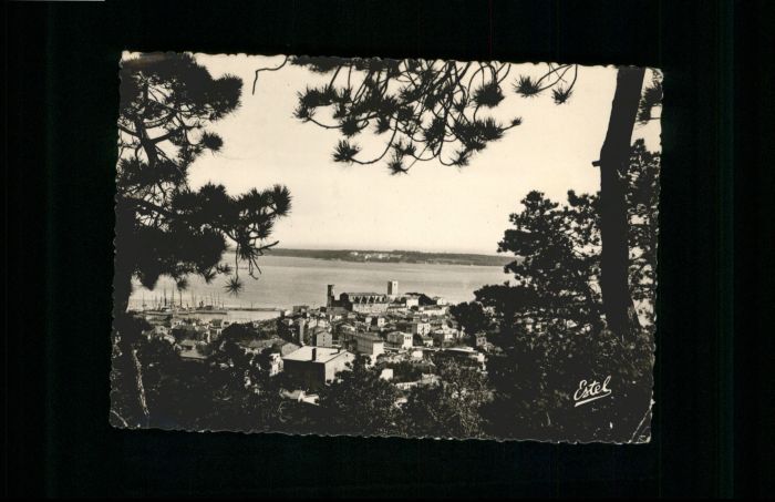 Cannes Alpes-Maritimes Cannes Mount Chevalier