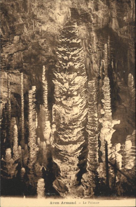 Meyrueis Höhle Aven Armand Palmier