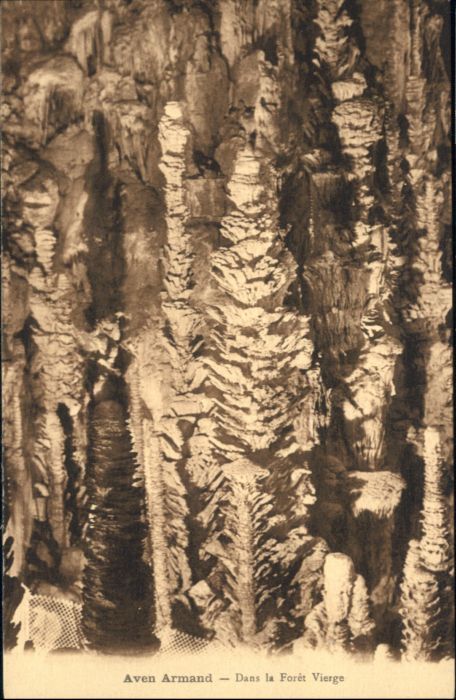 Meyrueis Höhle Aven Armand Foret Vierge