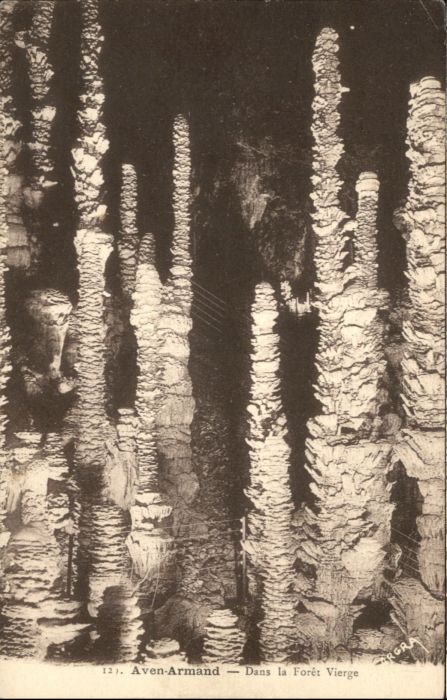 Meyrueis Höhle Grotte Aven Armand Foret Vierge