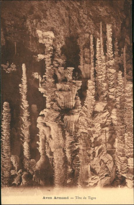 Meyrueis Höhle Grotte Aven Armand Tete Tigre