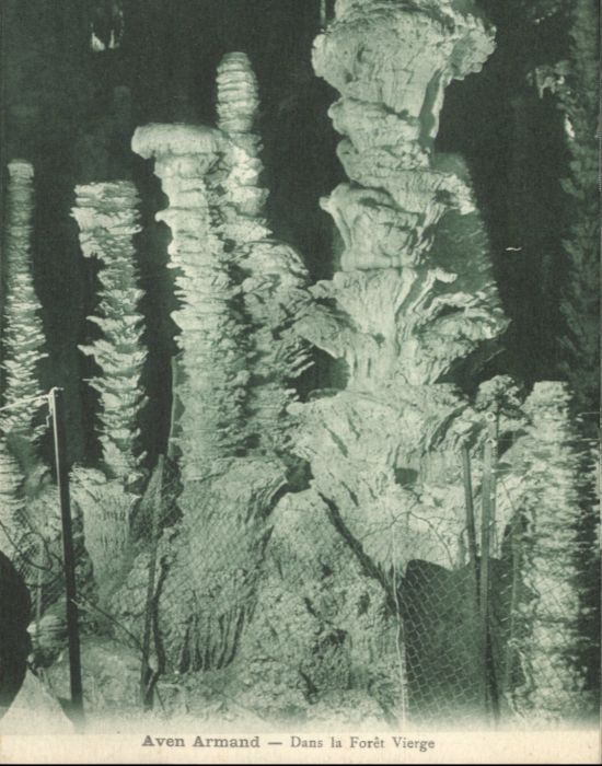 Meyrueis Höhle Grotte Foret Vierge