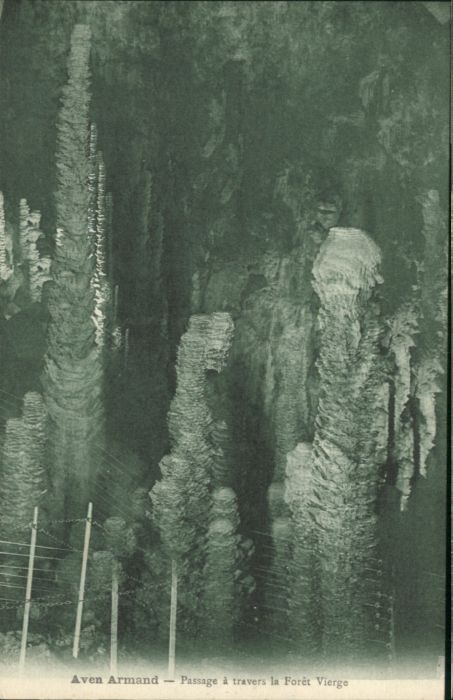Meyrueis Höhle Grotte Foret Vierge