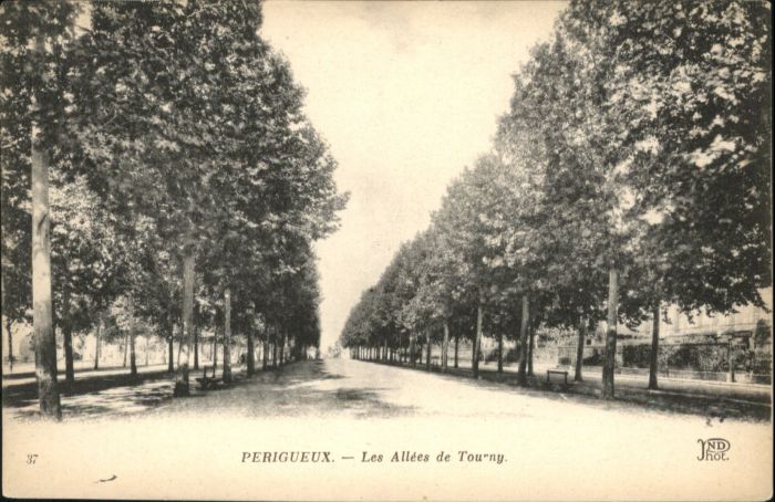 Perigueux Allee Tourny