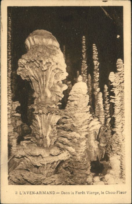 Hoehlen Caves Grottes Grotte Aven Armand Höhle Grotte