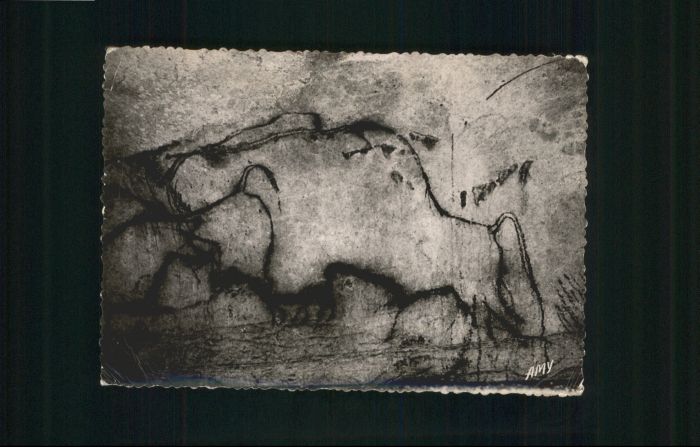 Hoehlen Caves Grottes Grotte Pech-Merle Charge Bison Höhle