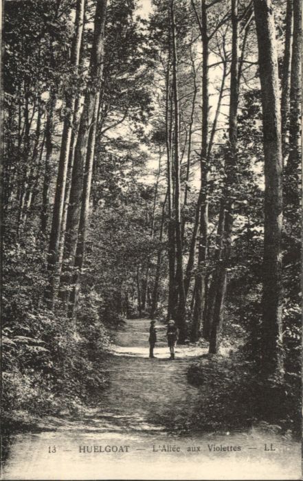 Huelgoat Allee Violettes