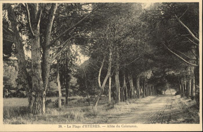 Hyeres Allee Ceinturon