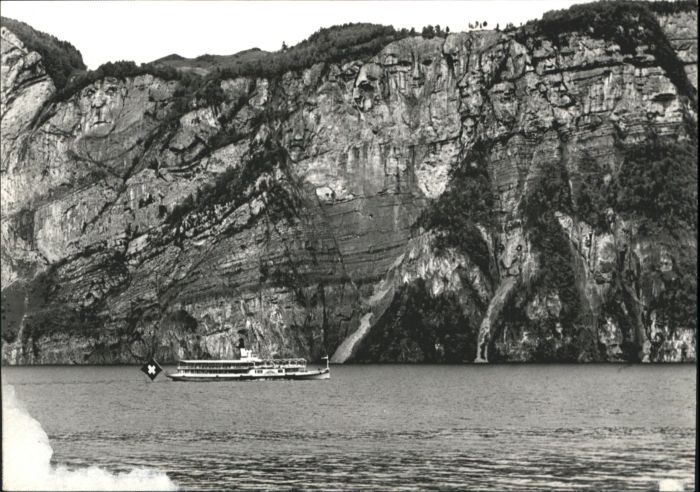 Dampfer Seitenrad Urnersee Teufelsmünster