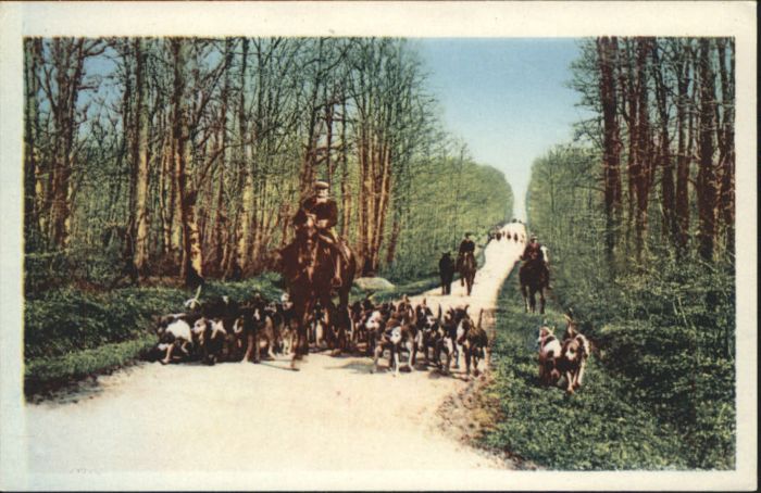 Chateau-la-Valliere Meute Partie Lance Chasse Courre Foret