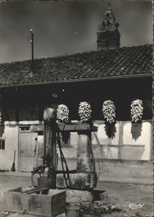 Romenay Cheminee Sarrazine Ferme Champ-Bressan