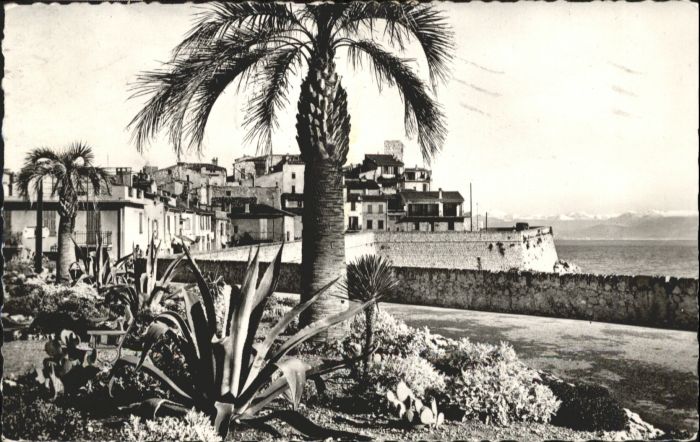 Antibes Alpes Maritimes Antibes