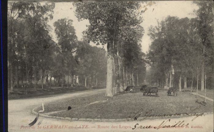 Laye Yvelines Route des Loges