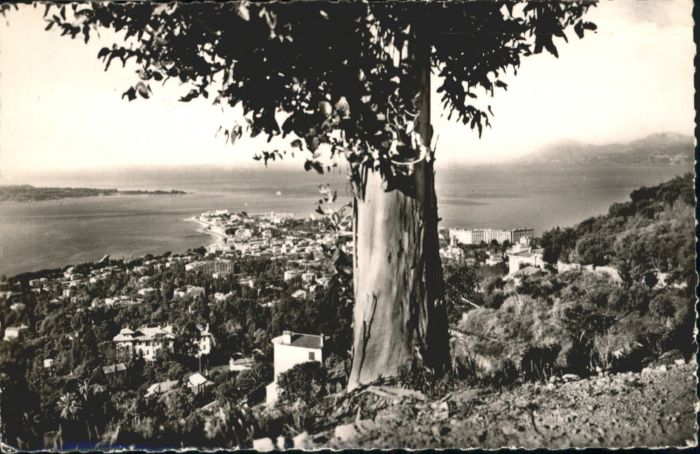 Cannes Alpes-Maritimes Cannes