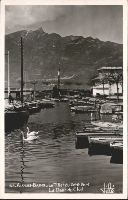 Aix-les-Bains Hafen Schwan Schiff