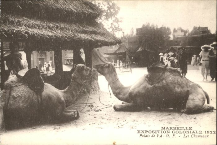 Marseille Bouches-du-Rhone Marseille Kamel