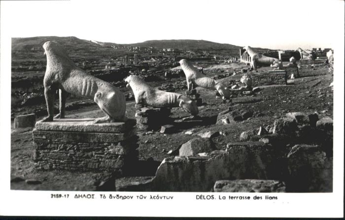 Delos Terrasse Lions Loewe
