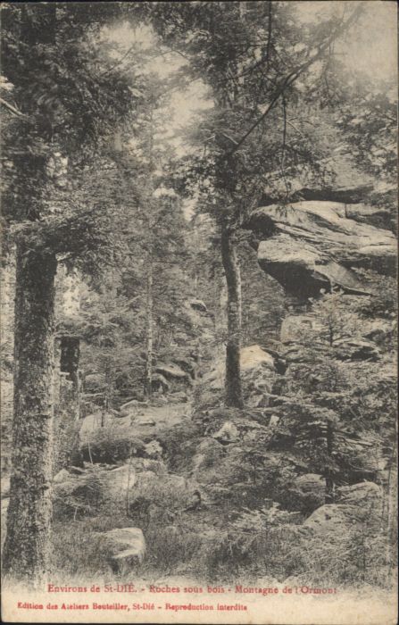 St Die Vosges St Die