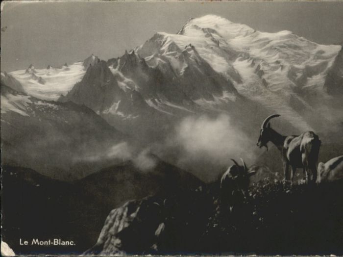 Mont Blanc