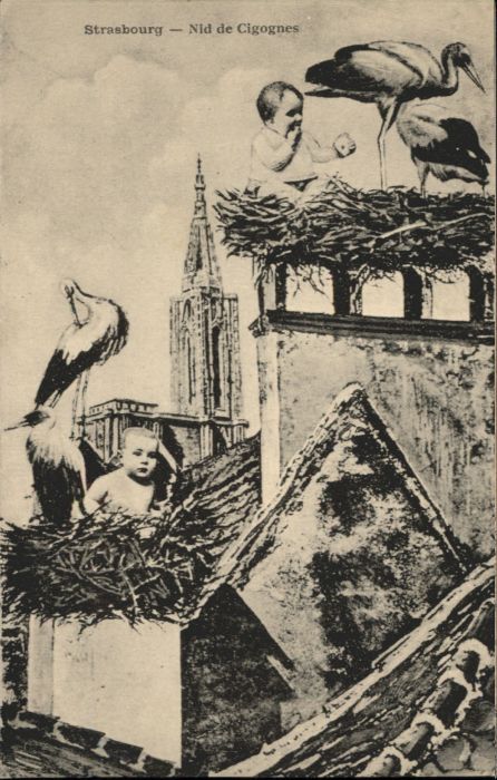 Strasbourg Alsace Strasbourg Nid de Cigognes
