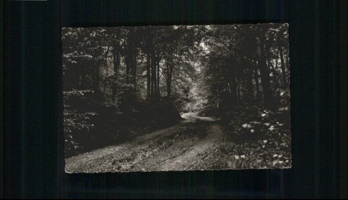 Hesdin Foret Domaniale