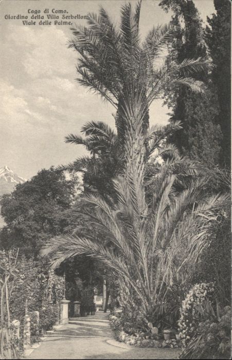 Giardino Villa Serbelloni Palme