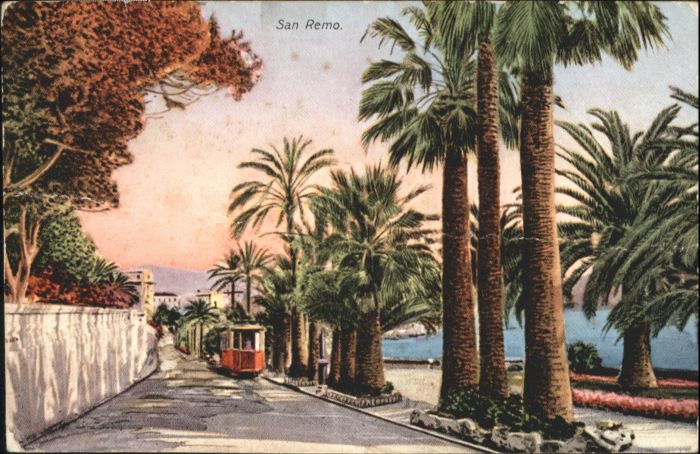 San Remo Strassenbahn Palmen