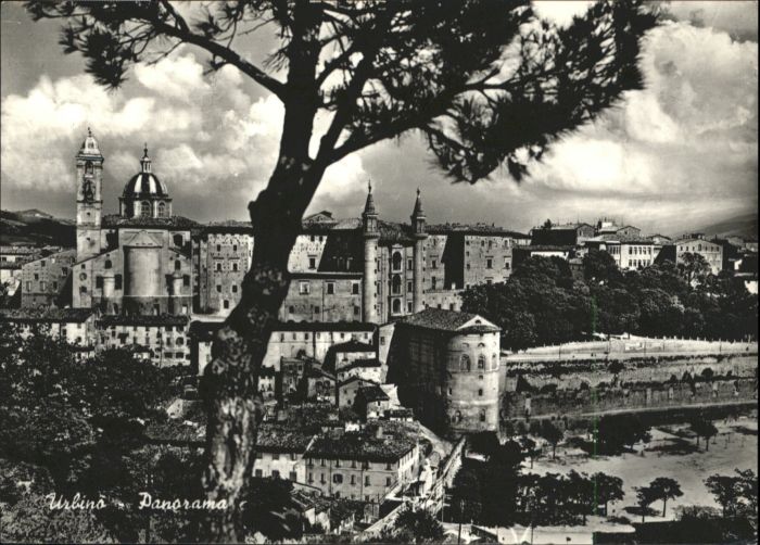 Urbino