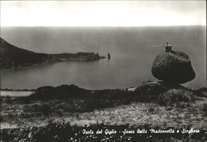 Giglio Sasso della Madonnella Scogliera