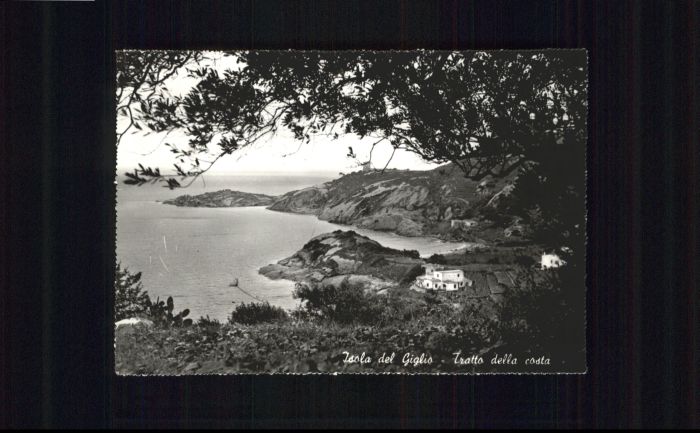 Isloa Giglio Trotta della Costa