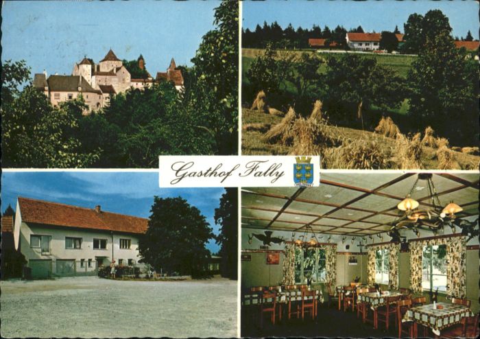 Kirchberg am Wechsel oedenkirchen Gasthof Fally