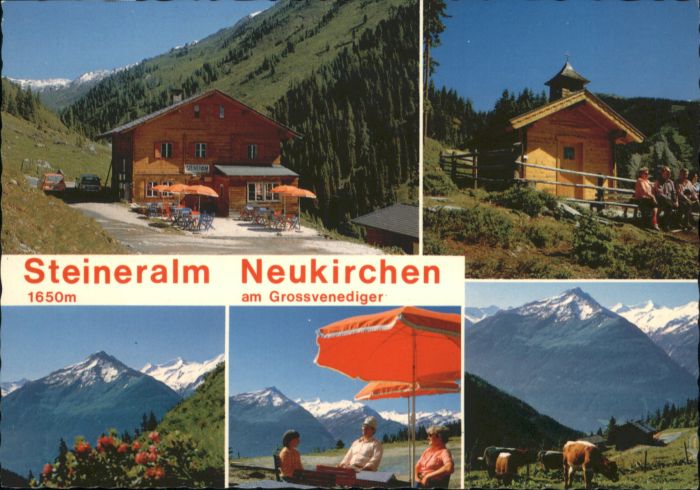 Neukirchen Grossvenediger Gasthof Skihuette Steineralm