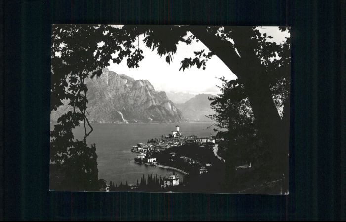 Malcesine Lago di Garda Malcesine Garda