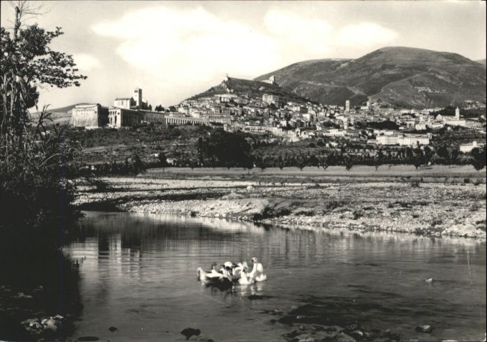 Assisi Umbria Schwan