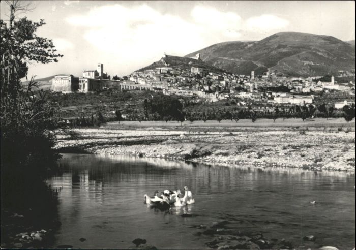 Assisi Umbria Schwan