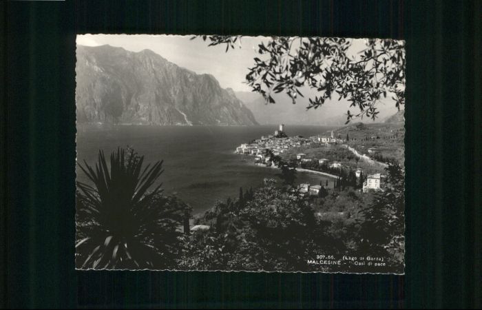 Malcesine Lago di Garda Malcesine Oasi Pace