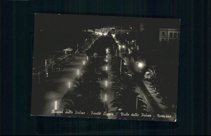 Notturno Viale delle Palme