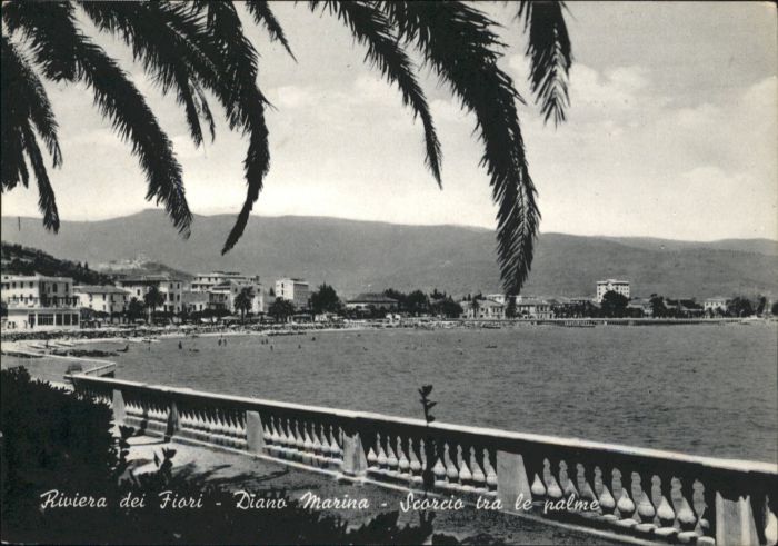 Diano Marina Scorcio tra Palme