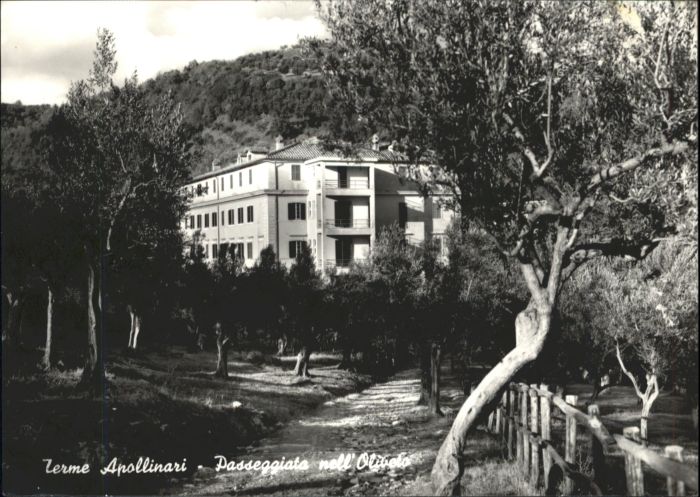 Terme Apollinari Passeggiata nell Oliveto