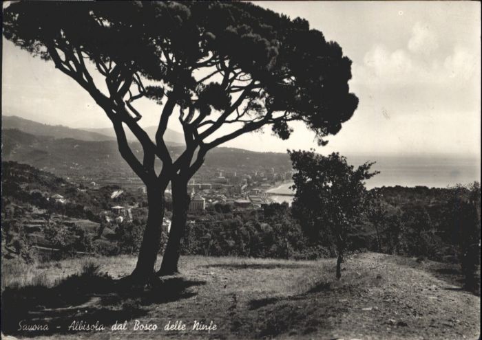 Savona Liguria Savona Albisola dal Bosco delle Ninfe