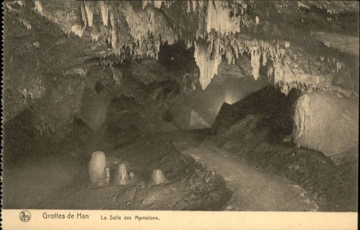 Han-sur-Lesse Grotte Hoehle Han
