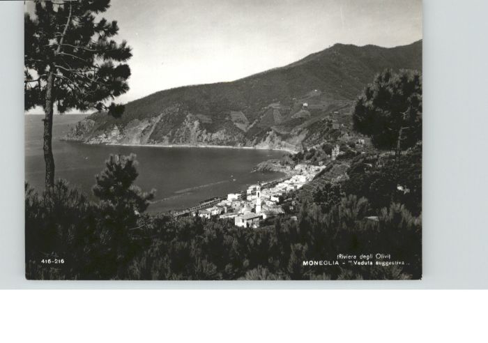 Moneglia Riviera Olivi