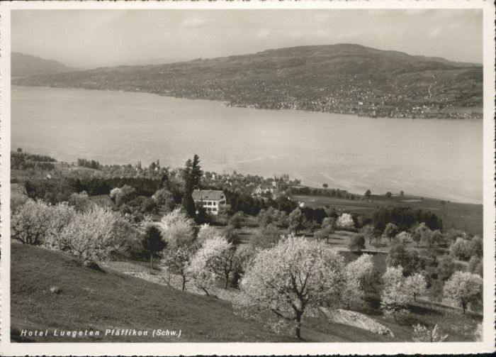 Pfaeffikon SZ Hotel Luegeten