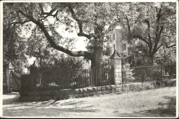 Horgen ZH Horgen Toechter Institut