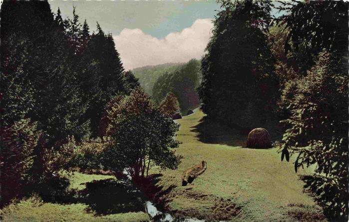 Eschsiefen Hollerath Hellenthal Euskirchen NRW Landschaftspanorama