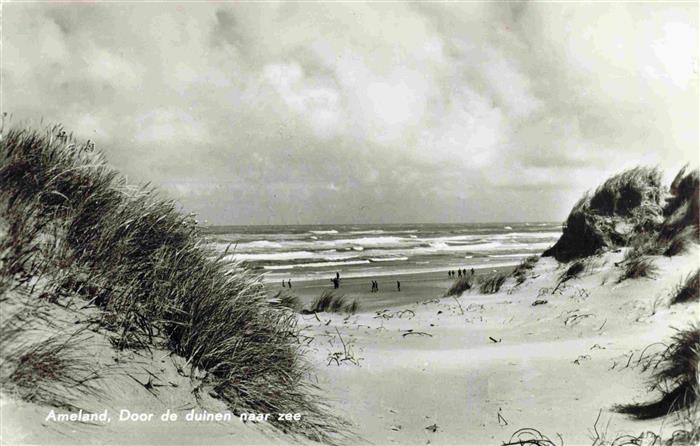 Ameland Friesland NL Door de duinen naar zee