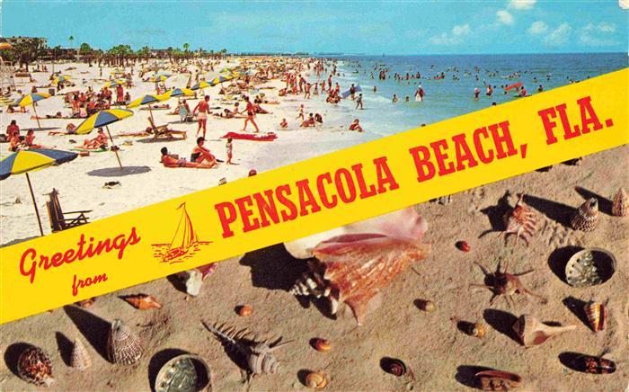 Pensacola Beach Florida USA Panorama Strand Muscheln
