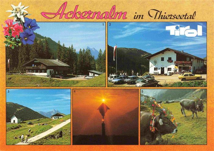 Ackernalm 1350m Thiersee Tirol AT Alpengasthof Ackernalm Sennerei Blick zur Guff