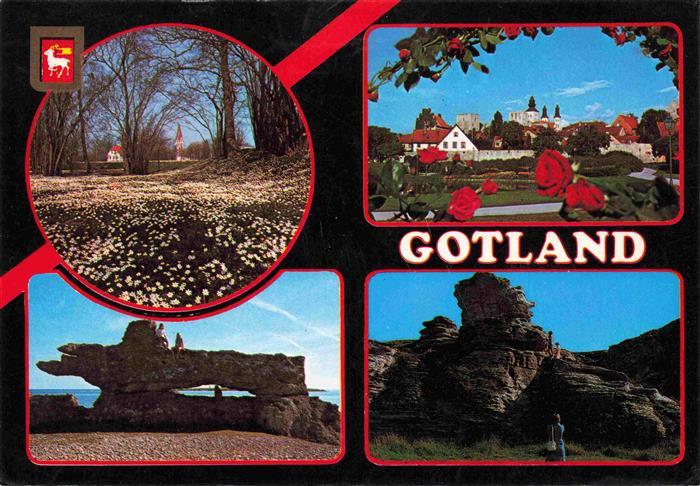 Gotland Sweden Gotlaendskt aenge med vitsippor Almedalen Visby Raukar Holmhaella