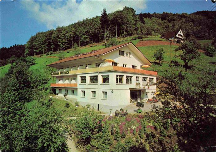 Bad Peterstal-Griesbach Kurheim Waldblick